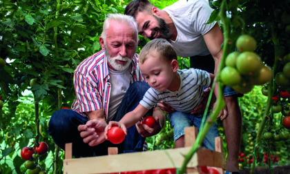 Tanti auguri papà... green: mandate le foto e messaggi di auguri al Giornale di Merate