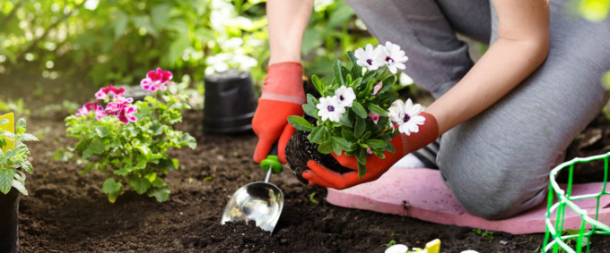 La Pro Loco di Imbersago organizza un interessante corso di giardinaggio