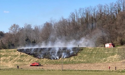 Incendio nel Parco Adda Nord, intervengono i Vigili del fuoco FOTO