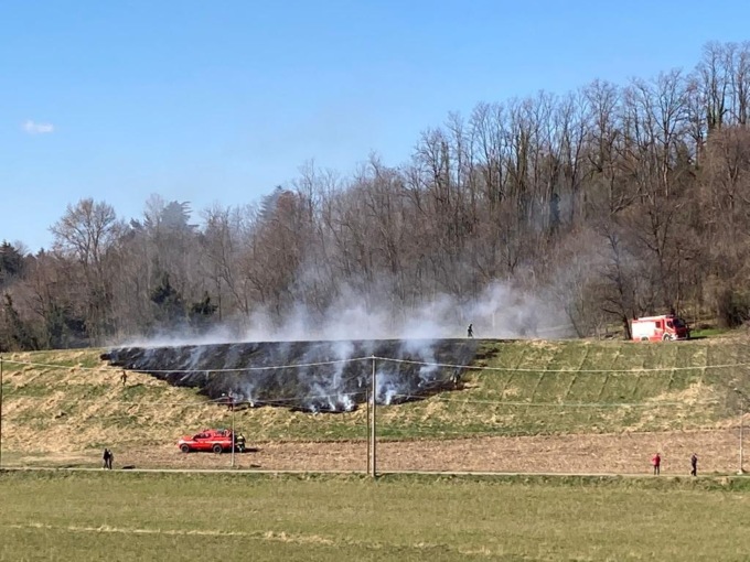 Incendio nel Parco Adda Nord, intervengono i Vigili del fuoco FOTO