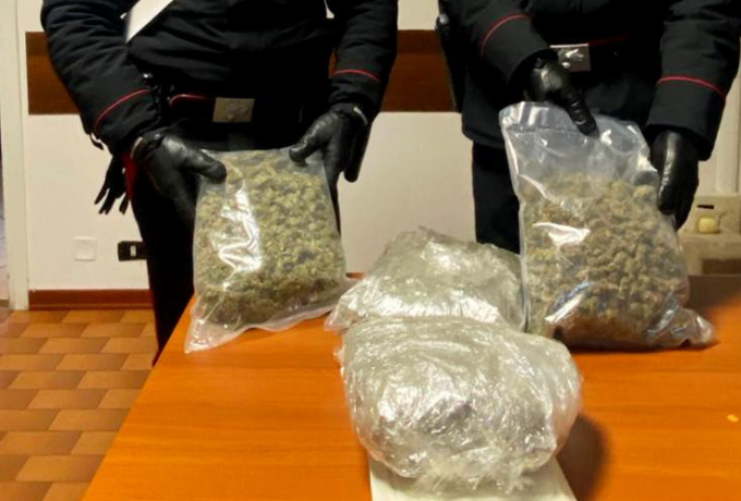 Trovato nel bosco oltre un chilo di marijuana