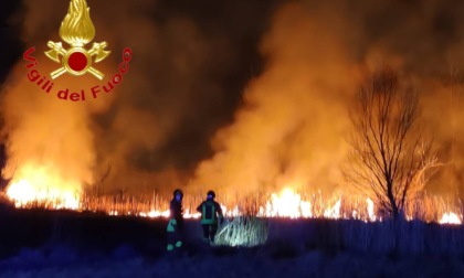 Fiamme all'alba: incendio domato da 4 squadre dei Vigili del fuoco