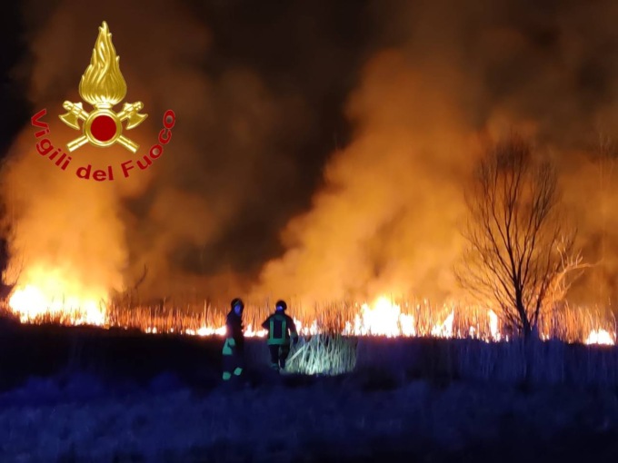 Fiamme all’alba: incendio domato da 4 squadre dei Vigili del fuoco