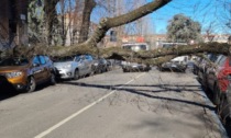 Vento provoca feriti e danni: sanitari, pompieri e protezione civile all'opera senza sosta