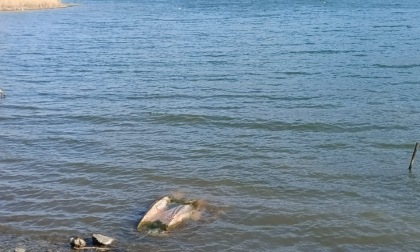 Non solo siccità: l’Adda in secca svela anche… l’inciviltà