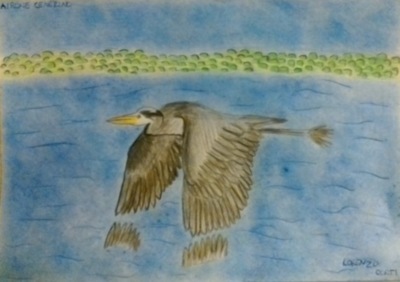 Disegniamo la natura con WWF Lecco