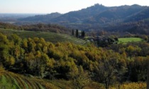 Oltre 2mila firme in difesa del Parco del Curone