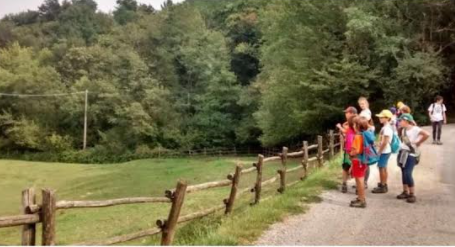 Estate verde al Parco Montevecchia e della Valle del Curone