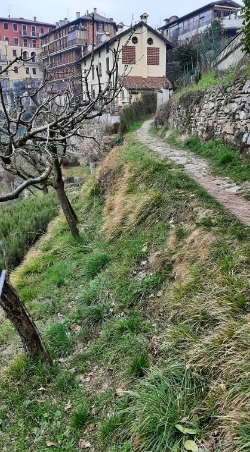 Pronto il progetto per sistemare il sentiero Oliva, accesso turistico alla piazzetta