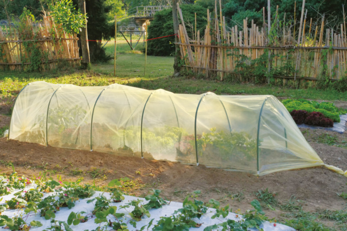 Come possiamo difendere i nostri ortaggi, fiori e piante? Copriamoli con film e veli protettivi