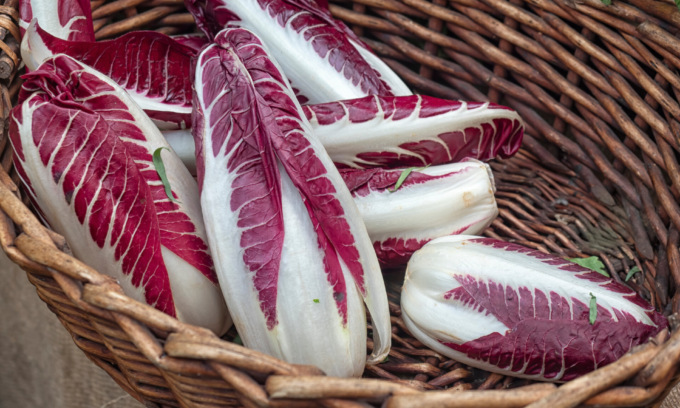 Da oggi regalo con il Giornale di Merate la cicoria rossa di Treviso