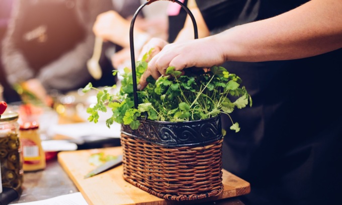 Facciamo l’orto in casa: da oggi in regalo il coriandolo
