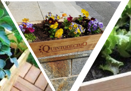 Sabato torna “L’orto in cassetta”