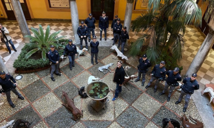 I cani di Velasco Vitali in memoria di Giovanni Falcone