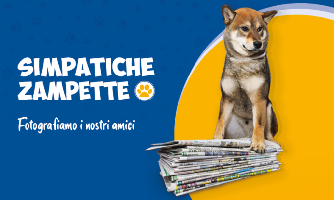 Parte Simpatiche Zampette: fotografiamo i nostri amici animali
