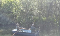 Salvato un airone rimasto impigliato in un albero alla Riserva