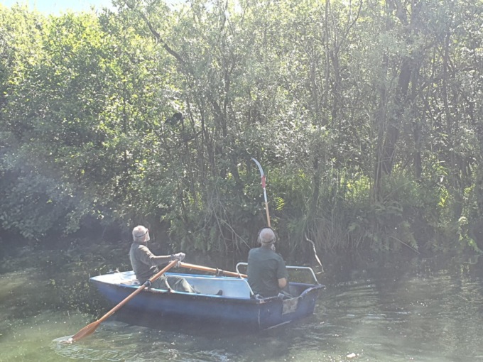 Salvato un airone rimasto impigliato in un albero alla Riserva
