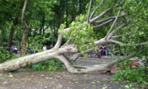 Ricoverata a Lecco la turista colpita da una pianta durante il temporale