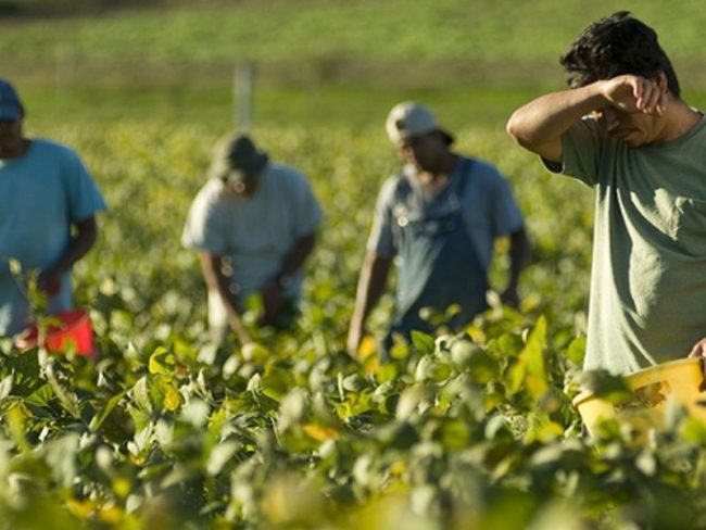 Contrasto al caporalato e al lavoro nero: se ne parla a Monticello