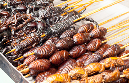 Perché gli insetti diventeranno sempre più importanti nell’alimentazione umana?