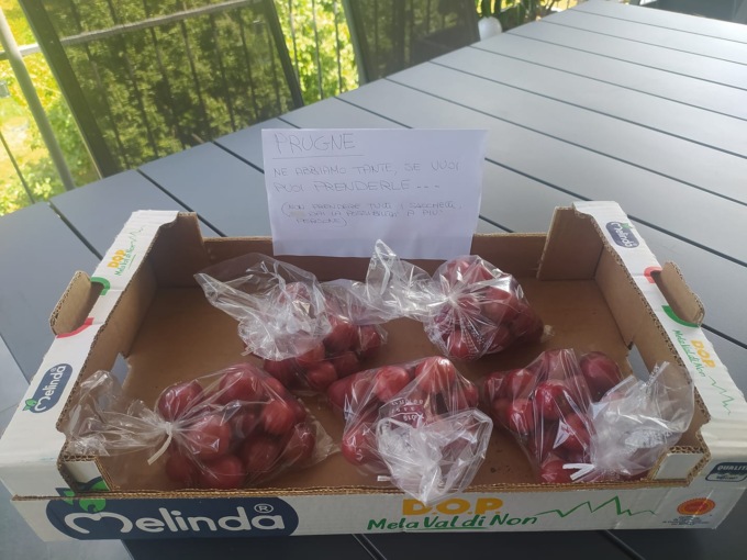 Regala sacchetti di prugne a chi passa per casa sua