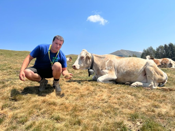 Caldo e siccità, l’allarme di Coldiretti: “Pascoli bruciati e pozze d’acqua in esaurimento”