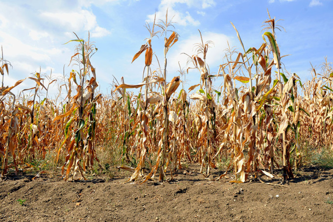 Emergenza Siccità: gli interventi di Lario Reti Holding per fronteggiare la crisi idrica