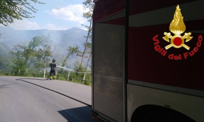 Incendio boschivo: urgente l’intervento dei Vigili del Fuoco