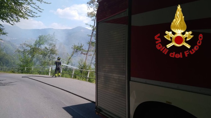 Incendio boschivo: urgente l’intervento dei Vigili del Fuoco