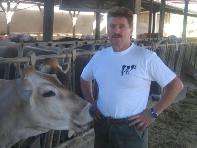 Siccità, allevatori meratesi in ginocchio: “Costretti a macellare le bestie perché non sappiamo come nutrirle”