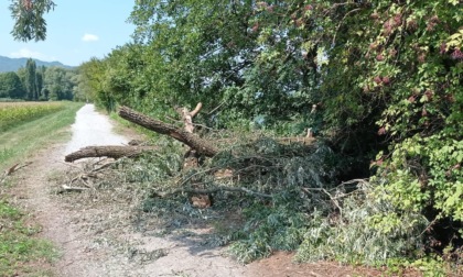 Temporali di luglio: danni per 100mila euro nel comparto pubblico in provincia di Lecco