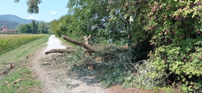 Interventi di manutenzione a Brivio: pulite le strade dai rami