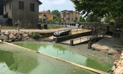 Lago di Sartirana: migliora l'ossigenazione dopo l'intervento con le pompe idrovore