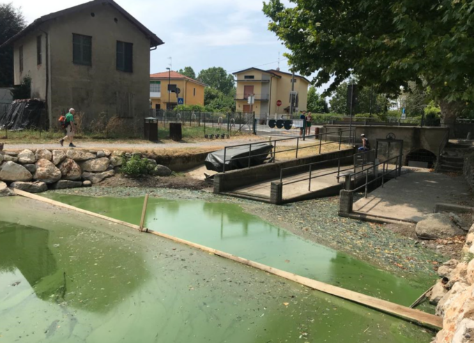 Lago di Sartirana: migliora l’ossigenazione dopo l’intervento con le pompe idrovore