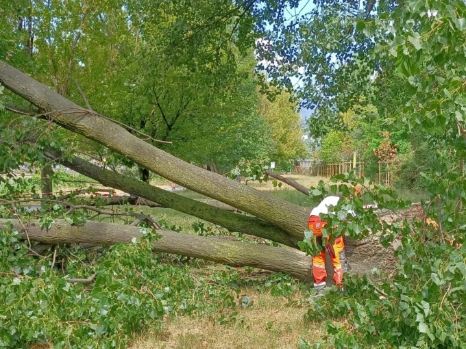 Maltempo: danni per i forti temporali di stanotte