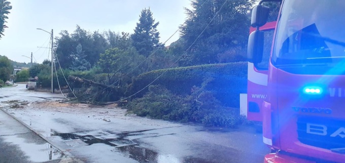 Danni del maltempo, albero cade sui cavi della corrente