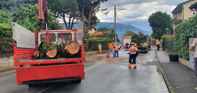 Albero abbattuto dal maltempo, ripristino della viabilità in via Cantù