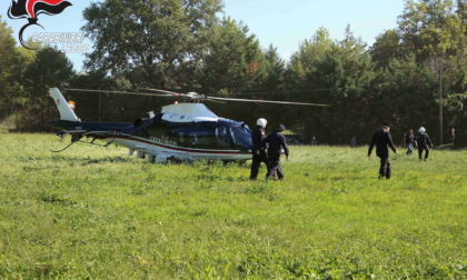 Blitz contro lo spaccio nei boschi della droga: in campo anche l'unità cinofila di Casatenovo