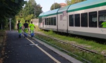 Maltempo, linea del Besanino bloccata: ramo colpisce il finestrino del treno