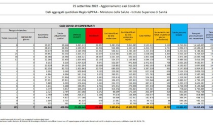 Coronavirus: 142 nuovi casi a Lecco e 318 a Bergamo