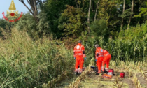 Travolto da una mietitrebbia, il 25enne dormiva nel campo