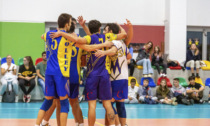 As Merate Volley, in casa contro Pizzighettone per tornare a vincere