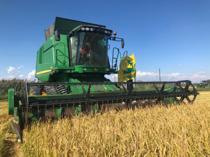 Schizzano i prezzi: nel Lecchese pasta a oltre 3 euro al kg