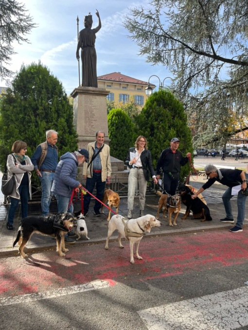 Diritti dei cani trascurati, i padroni esprimono il dissenso
