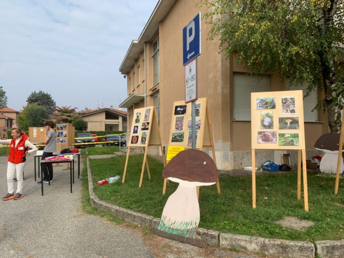 esposizione funghi