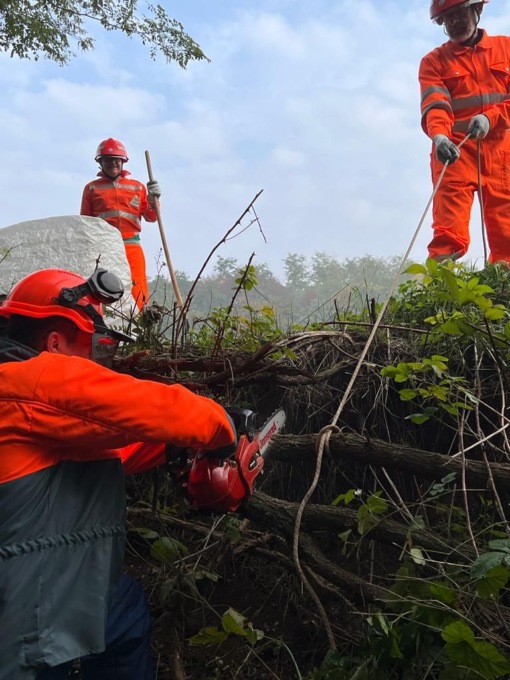 intervento programmato