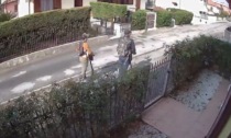 Ladri in monopattino, allarme in Brianza FOTO e VIDEO