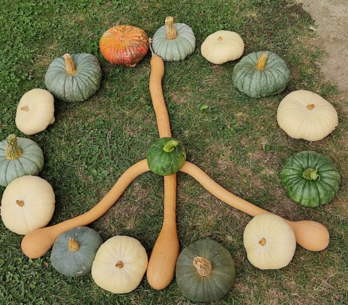 La Pace: poesia di Francesco Lena