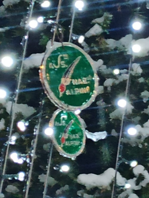 Gli Alpini regalano l’albero alla comunità