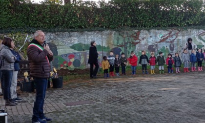 Casatenovo, Giornata nazionale degli alberi a scuola